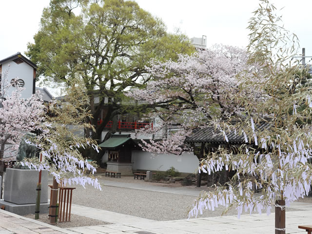 白幣祭